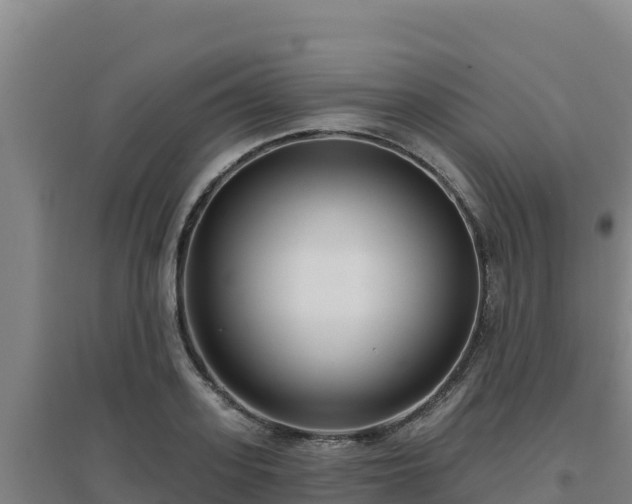 X0000096720939200802121245