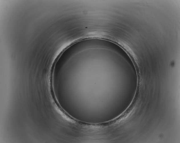 X0000096720941200802121245