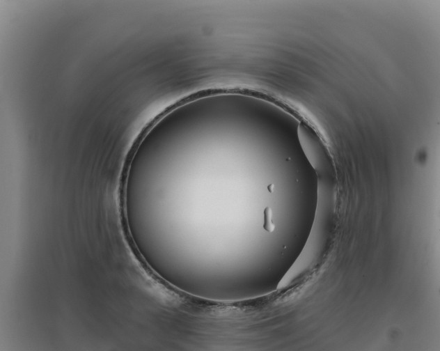 X0000096720943200802121245