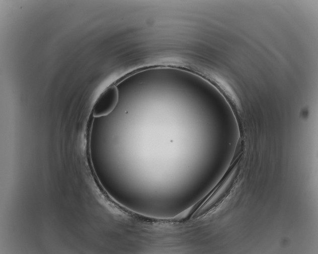 X0000096720944200802121245