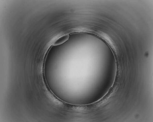 X0000096720946200802121245