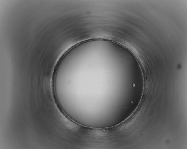 X0000096720947200802121245
