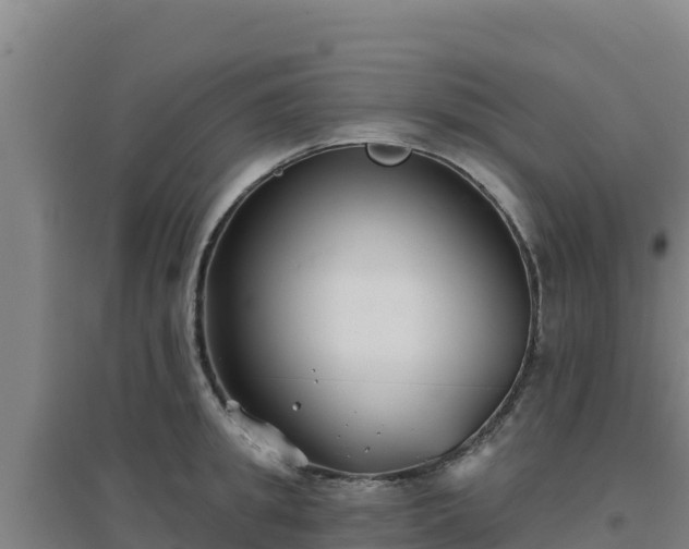 X0000096720949200802121245