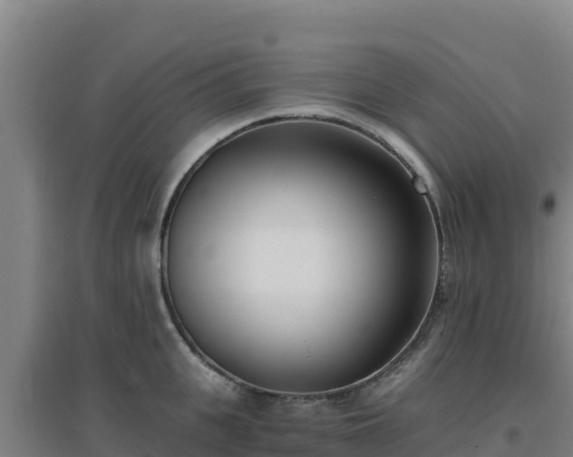 X0000096720951200802121245
