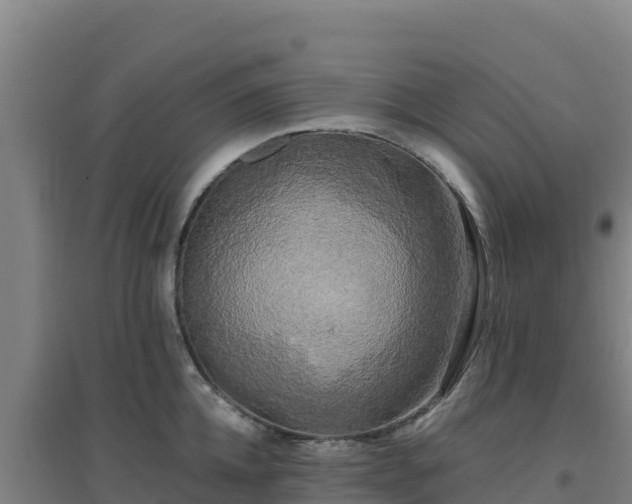 X0000096720952200802121245