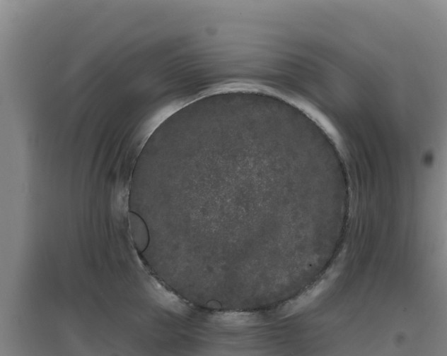 X0000096720953200802121245