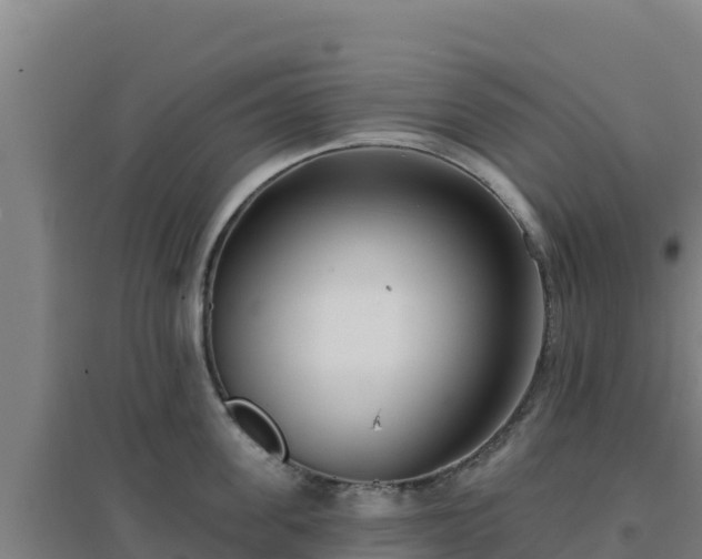 X0000096720955200802121245