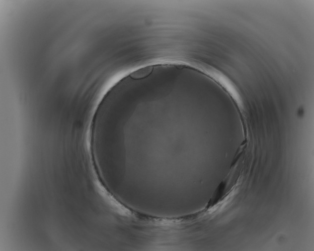 X0000096720958200802121245