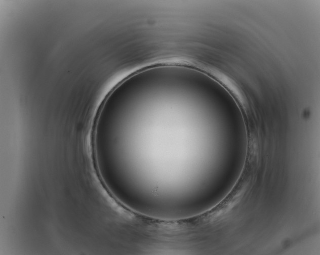 X0000096720959200802121245