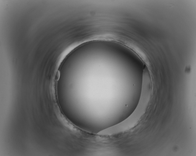 X0000096720960200802121245