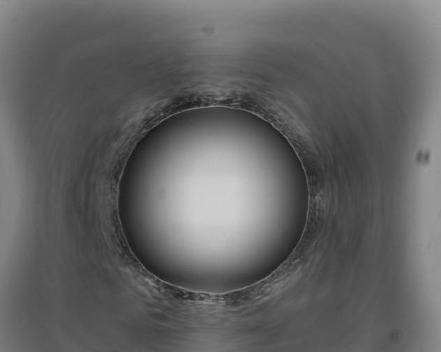 X0000096720961200802121245