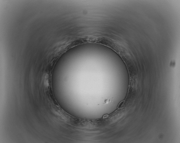 X0000096720962200802121244