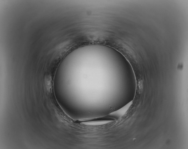 X0000096720963200802121244