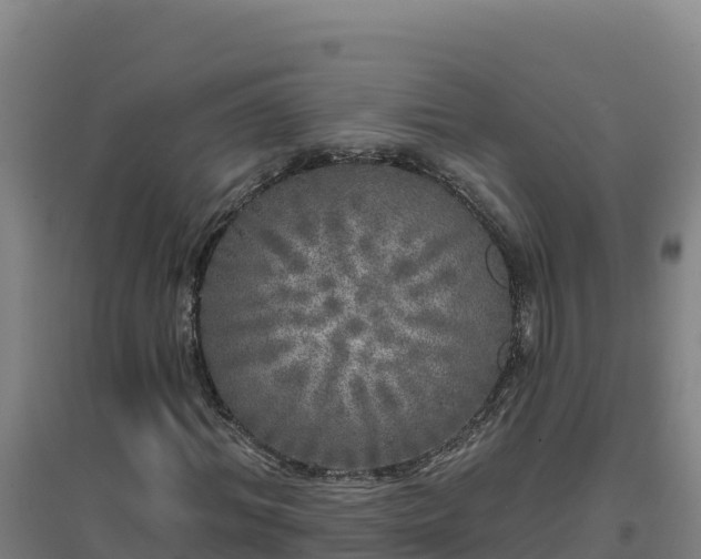 X0000096720964200802121244
