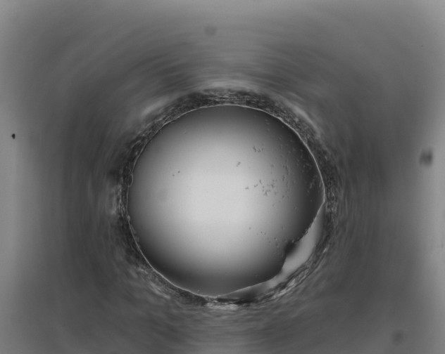 X0000096720965200802121244