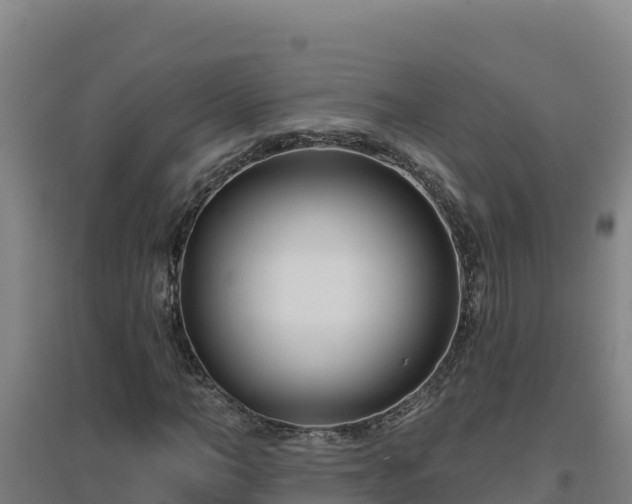 X0000096720966200802121244