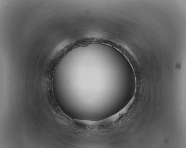 X0000096720967200802121244