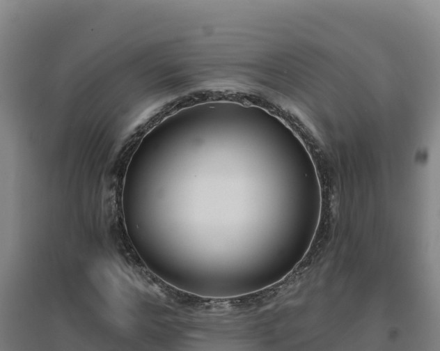X0000096720968200802121244