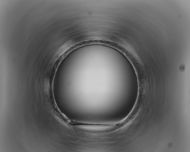 X0000096720969200802121244