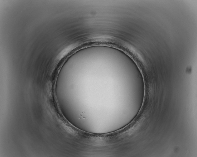 X0000096720970200802121244