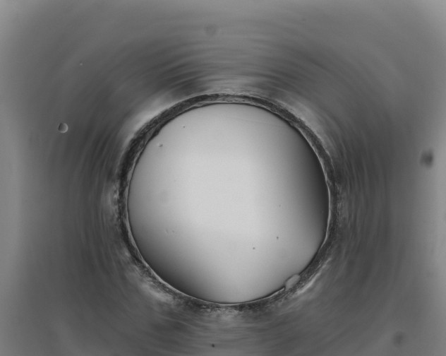 X0000096720971200802121244