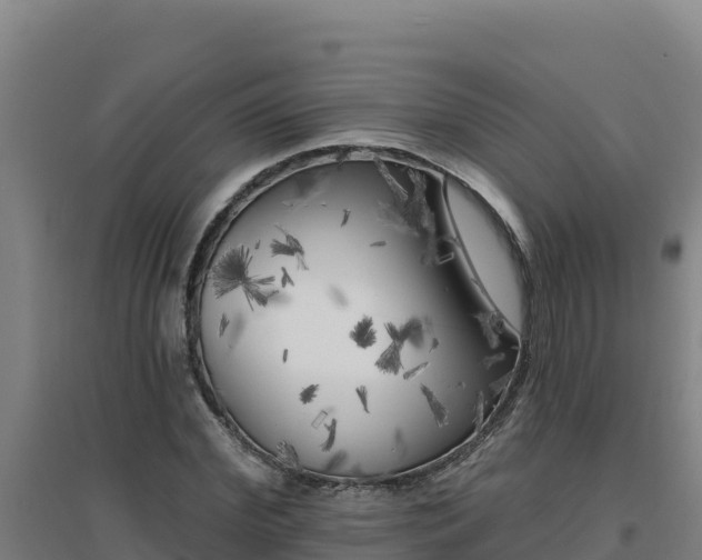 X0000096720972200802121244