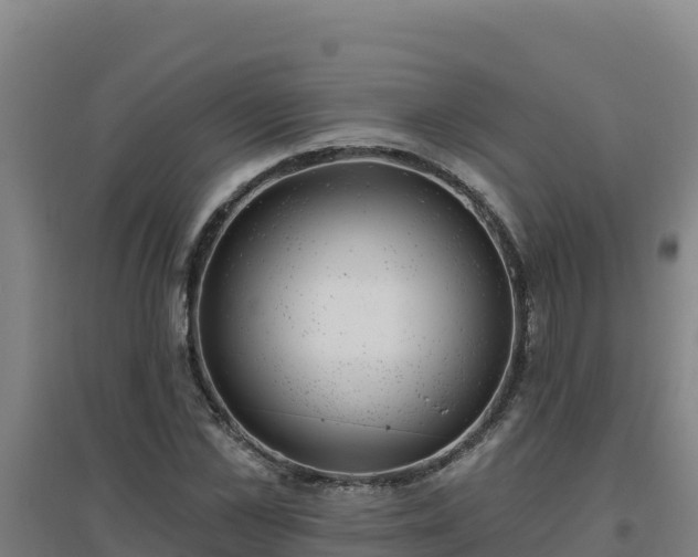 X0000096720973200802121244
