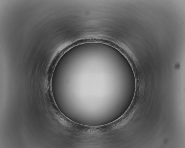 X0000096720974200802121244