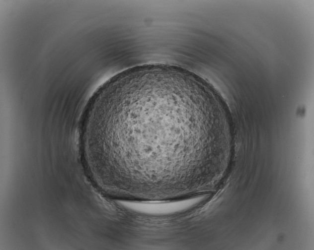X0000096720975200802121244