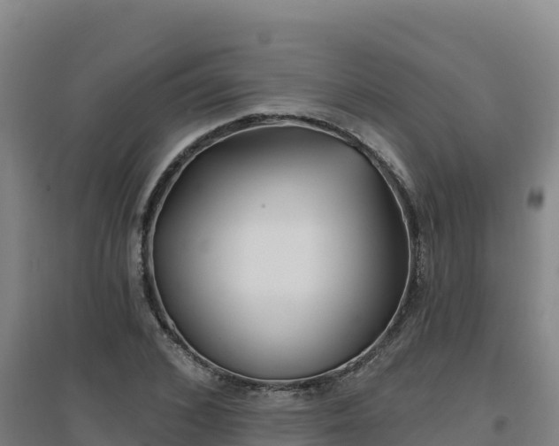 X0000096720976200802121244