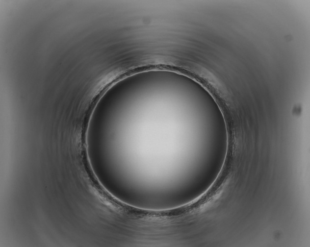 X0000096720977200802121244
