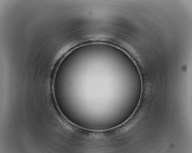 X0000096720978200802121244