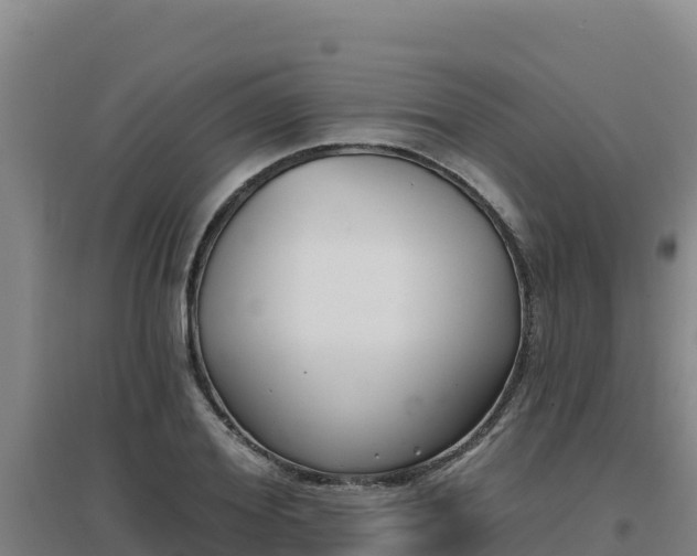 X0000096720980200802121244