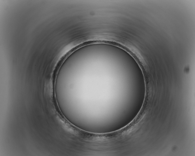 X0000096720982200802121244