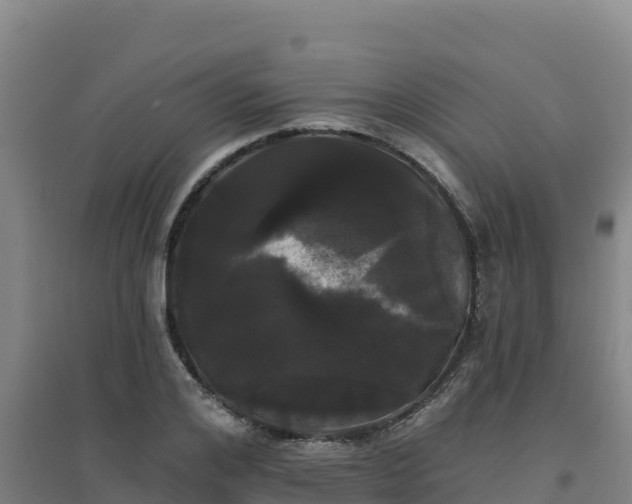 X0000096720984200802121244