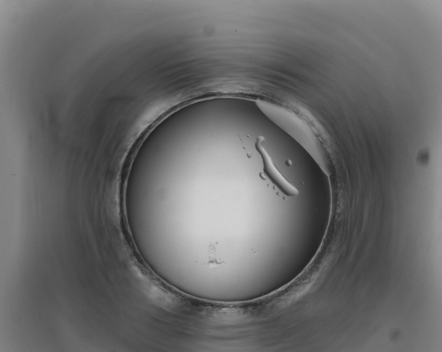 X0000096720986200802121244