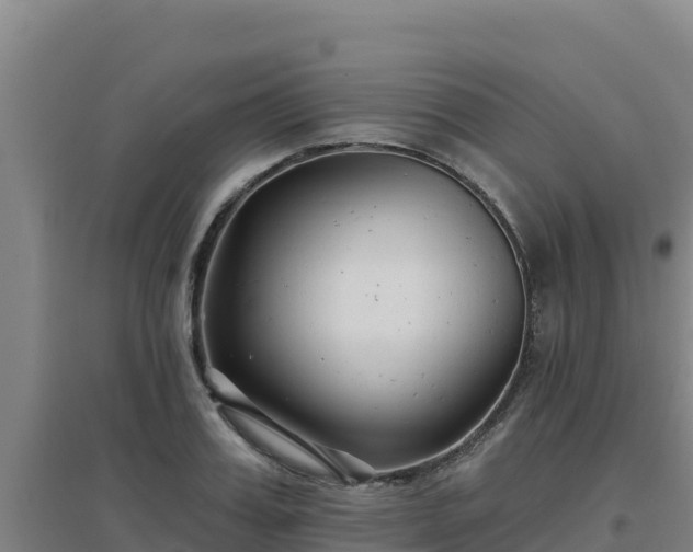 X0000096720987200802121244