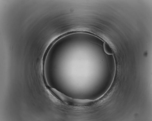 X0000096720988200802121244