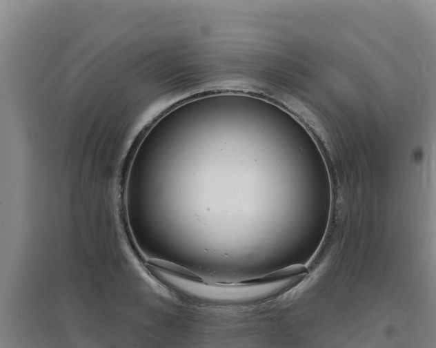 X0000096720989200802121244