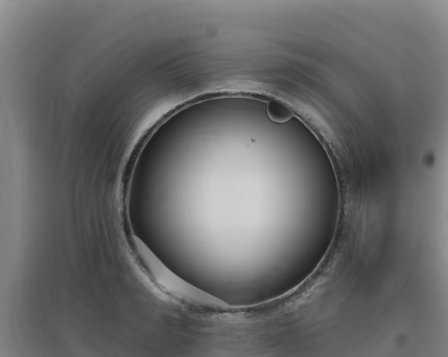 X0000096720990200802121244