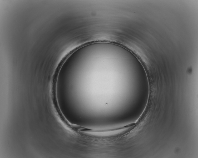X0000096720991200802121244