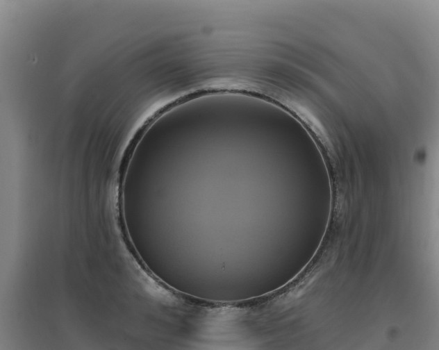 X0000096720992200802121244