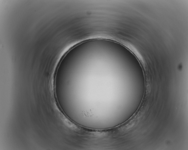 X0000096720996200802121244