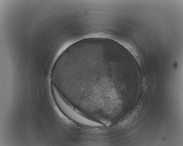 X0000096720998200802121244