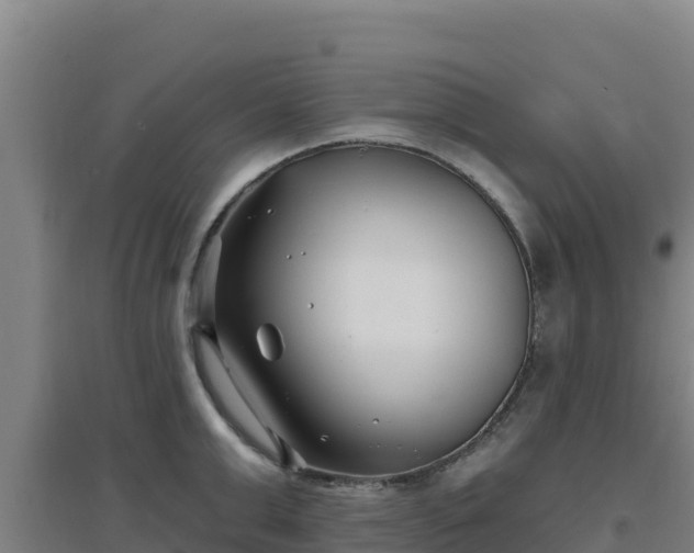X0000096720999200802121244