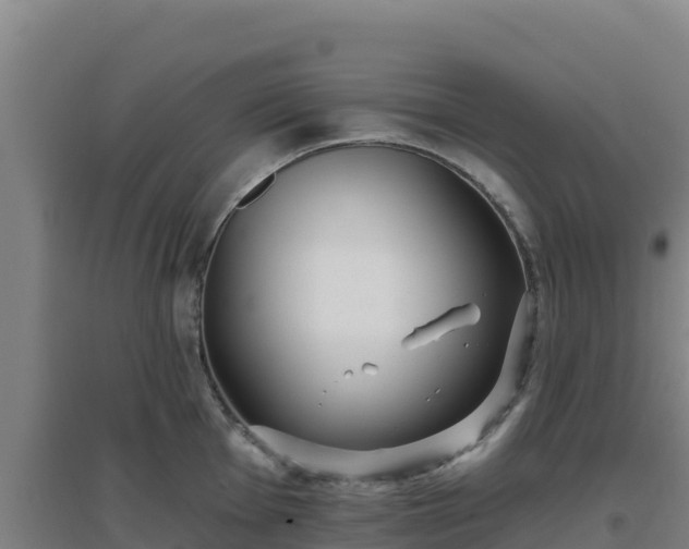 X0000096721001200802121244