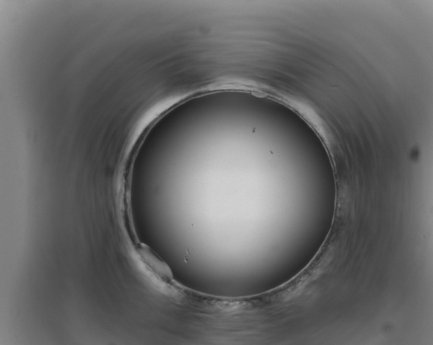 X0000096721003200802121244
