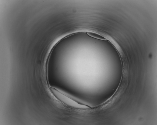 X0000096721004200802121244