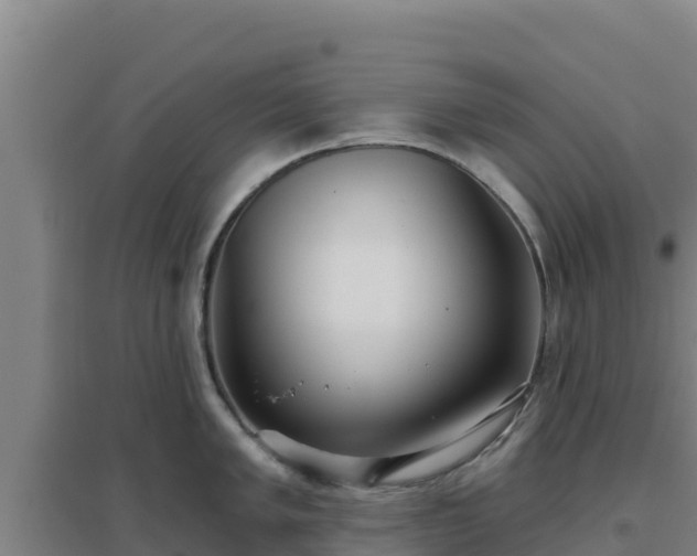 X0000096721005200802121244