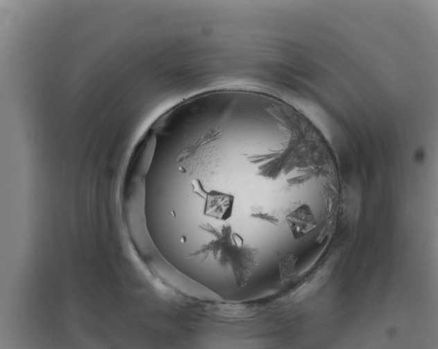 X0000096721007200802121244